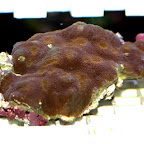 DSC_2139.jpg