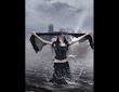 Witch In Black Waters