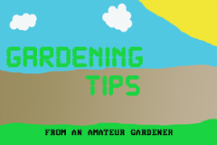 Gardening tip1