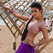 Amala Paul - Vettai Movie Stills 2012