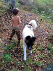 Jax and Ranger.jpg