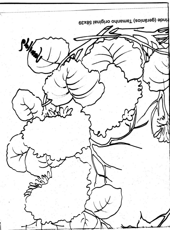 [img758%255B2%255D.jpg]