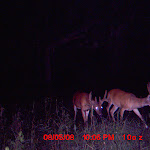 MDGC0014.JPG