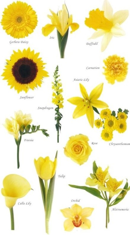 [Know%2520Your%2520Flowers%25203%255B4%255D.jpg]