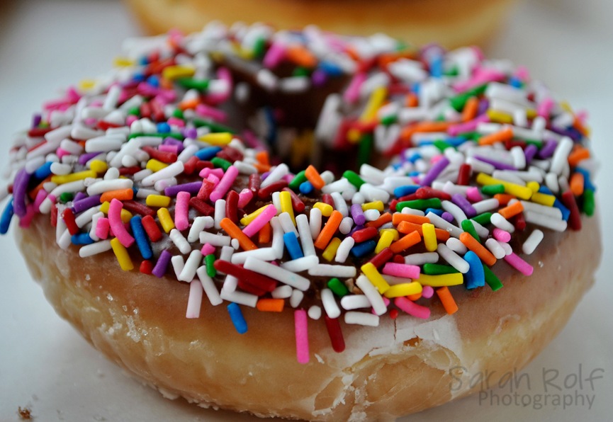 [donut-with-sprinkles%255B3%255D.jpg]