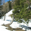 DSCN0964.JPG