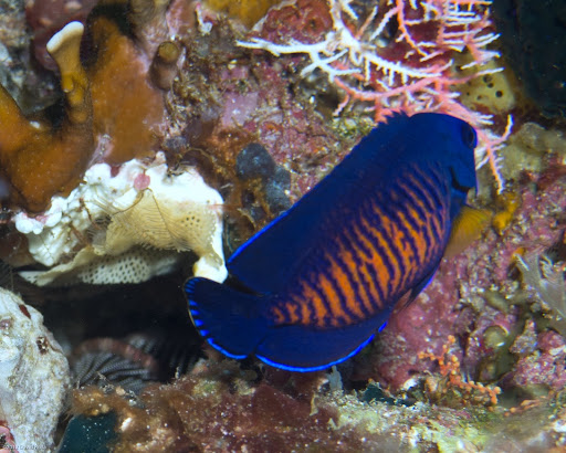P7024288