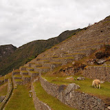 P5273351.JPG