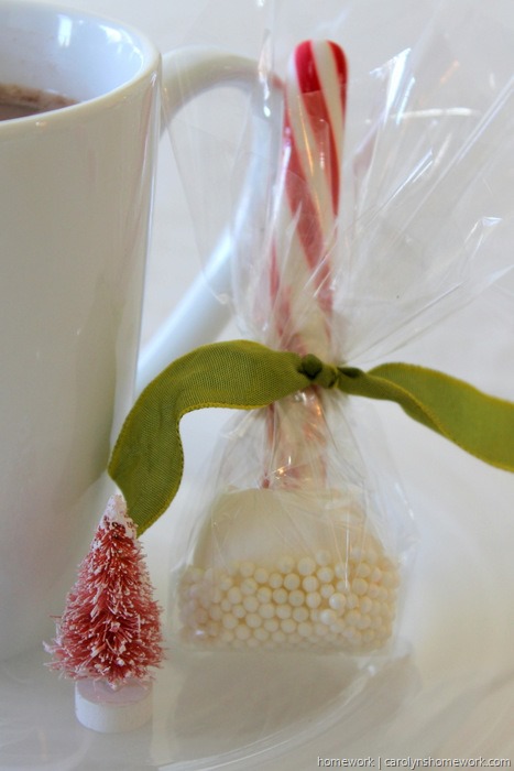 Marshmallow & Peppermint Stir Sticks via homework (5)