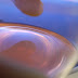 R0028404.JPG