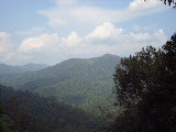 STP60570.JPG