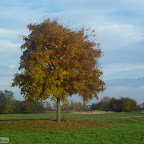 singold-bote_mittelstetten-wertach_022.jpg
