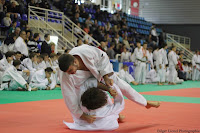 IMG_2497.jpg