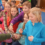 Schlangenschau_31.jpg