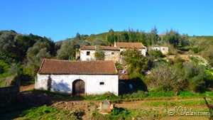 [P11303725.jpg]