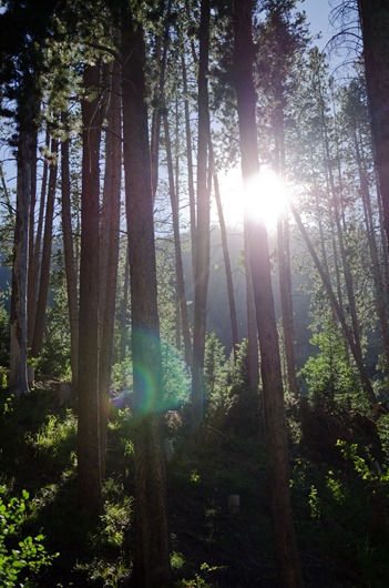 [camping-10%255B3%255D.jpg]