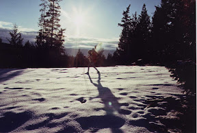 X-Country Ski Trails