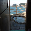 [F033.jpg]
