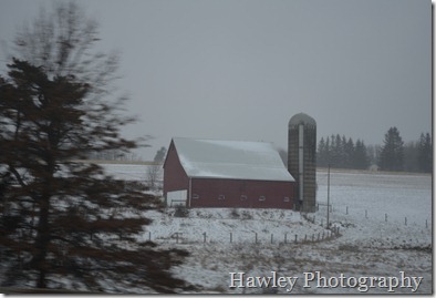 DSC_0517 DSC_0517