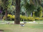 DSC00536.JPG