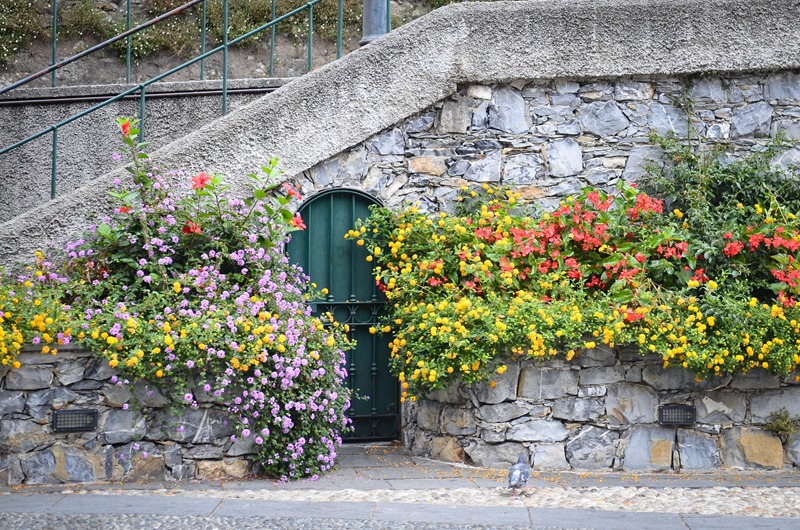 [Portofino%2520flowers%255B3%255D.jpg]