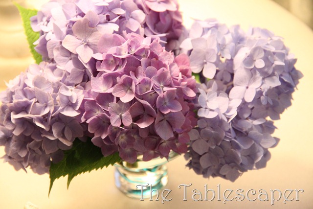 [Snuggle-up-and-READ-0413.jpg]