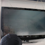 DSCN7341.JPG