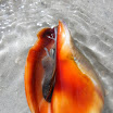 dscn0172.jpg