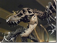 Kenosha Dinosaur Museum 015