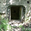 dsc06867.jpg