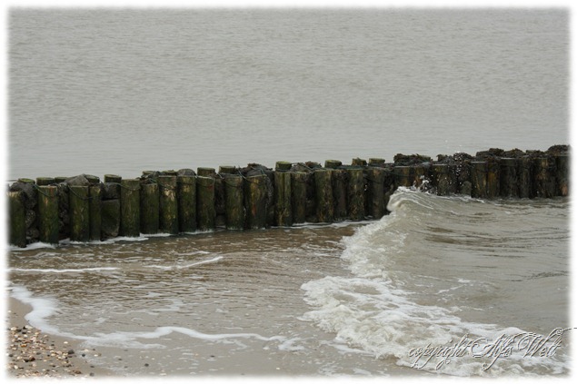 meer6