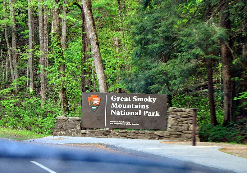 [02b---entering-GSMNP8.jpg]