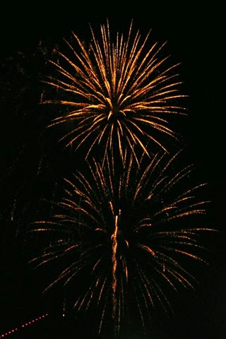[fireworks21.jpg]