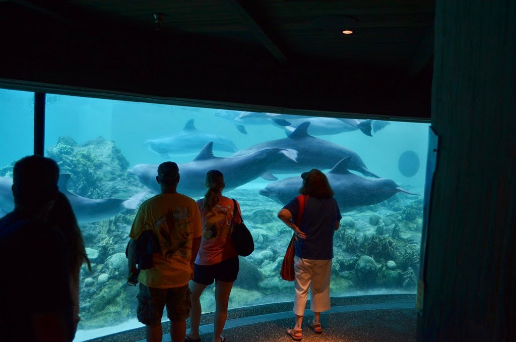 [DSC_9149%255B3%255D.jpg]