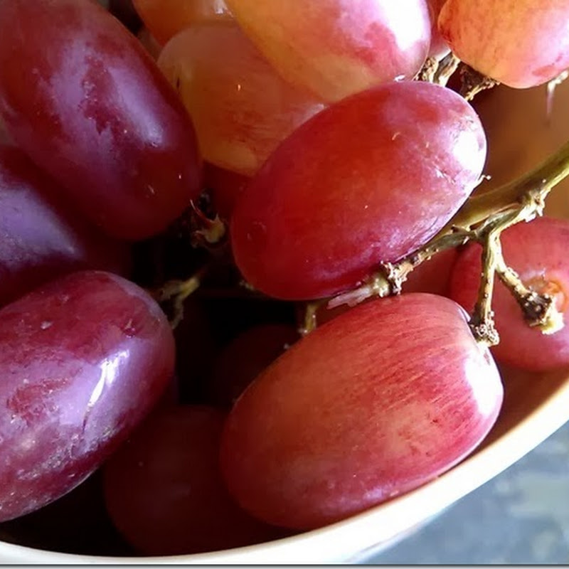 100 grapes public domain pictures