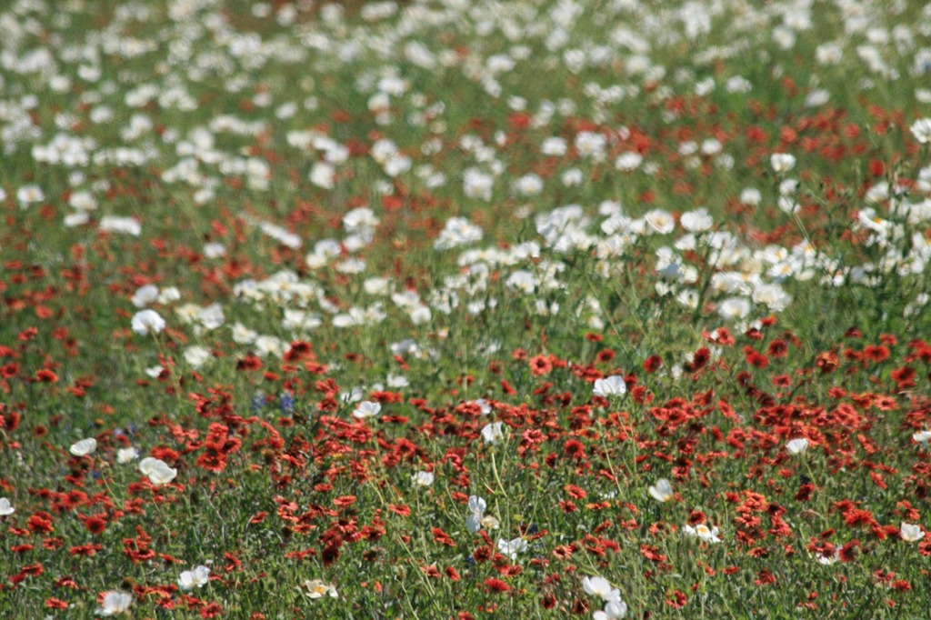 [IMG_74371%255B1%255D.jpg]