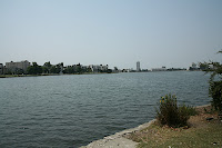 IMG_4372.JPG
