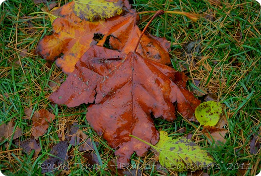 Rachel Temple~Beautiful Daughters© 2011