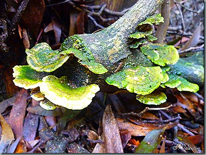 P1200304 P1200304