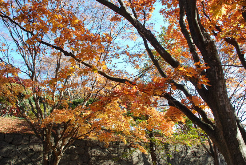 hokkaido_145.jpg