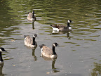 P9290244.jpg