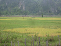 IMG_0071.JPG