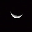 IMG_1145.jpg