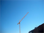 Crane in spring morning