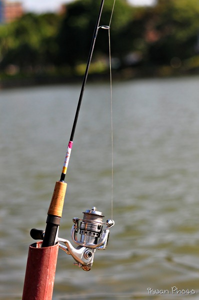 Fishing Rod