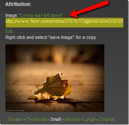 creditos_da_imagem_por_flickrcc creditos_da_imagem_por_flickrcc