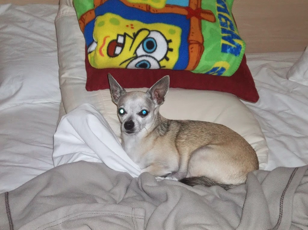 [100_1817%255B4%255D.jpg]