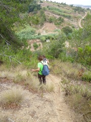 [P1100297%255B2%255D.jpg]