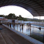 Slide18.JPG