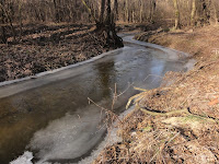 rz. Główna
